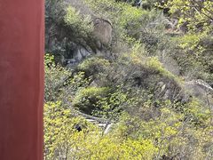 -北京凤凰岭