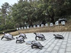 -广东惠东海龟国家级自然保护区