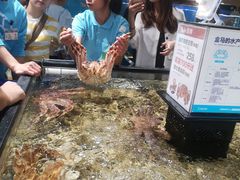 -盒马鲜生(曜一城店)