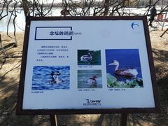 -大兴滨河森林公园