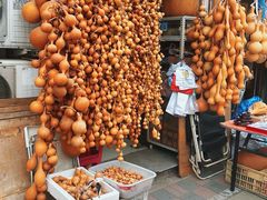 -中环花鸟鱼虫市场