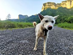 -鹿院坪生态旅游景区