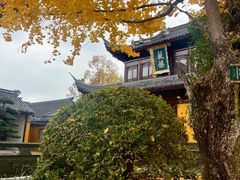 -圆通寺