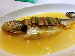 野生黄花鱼-味茂·老船夫1927(东海东路店)