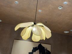 -阿露佳·舌尖上的安吉菜