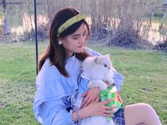 -瑶湖郊野森林公园