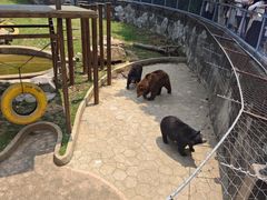 -无锡动物园·太湖欢乐园