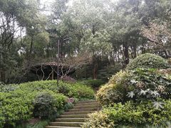 -杭州半山国家森林公园
