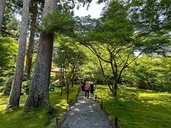 -三千院