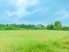 -光明小镇欢乐田园