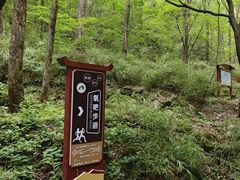 -牛背梁国家森林公园