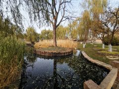 -三里河公园