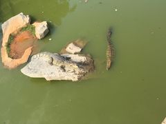 -南昌动物园