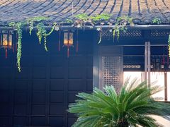 -绍兴鲁迅故里·沈园景区