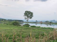 -夏屿湖畔.落日湖景餐厅(普者黑景区店)