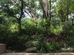 -九龙公园