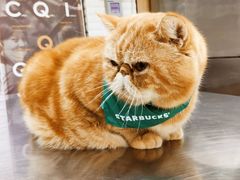 -星巴克臻选(北京银泰店)