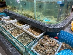 水产区-渔码头食府(蓬莱阁店)