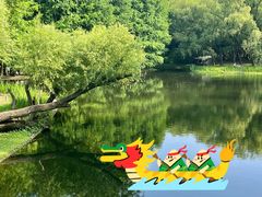 -上海共青森林公园