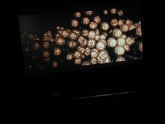 -AMG海上明珠影城(上海环球港RealDCinema店)