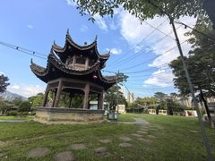-飞来湖湿地公园