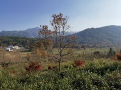 -塔川景区