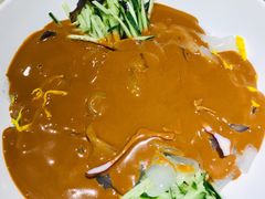 东北大拉皮-鸽子窝(青塔店)