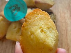 -Madeleine玛德琳(永平里店)