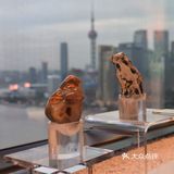 【魔都艺展地图】黄浦江边，“光的时空屋”悄然打开……
