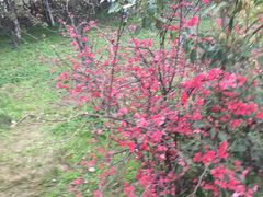 -艾溪湖湿地公园