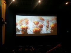 4D剧场-AMG海上明珠影城(上海环球港RealDCinema店)