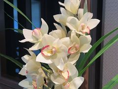 -淮香国色·淮扬菜(正大中心店)