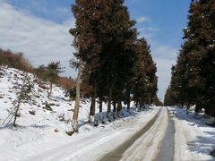 -齐岳山