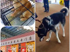 -东浩兰生上海世博展览馆