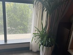 -鸽子侯·家宴·平价海鲜(绿地店)