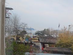 -慢丽江·云南野生菌土鸡锅(付家庄店)