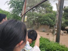 -南昌动物园