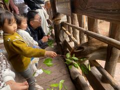 -长鹿旅游休博园