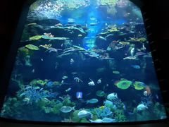 -暹罗海洋世界