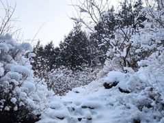 -北京凤凰岭