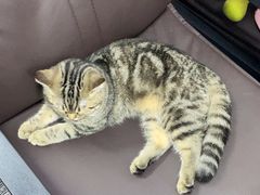 -无趣桌游狼人杀店