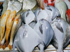 -鸿港海鲜批发市场