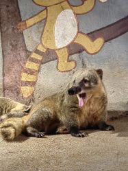 -Zoolung Zoolung动物主题公园(海信广场店)