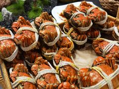 -欢乐蟹庄·精品农家乐(阳澄湖莲花岛店)
