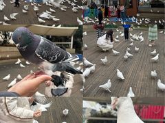 -南昌之星游乐场