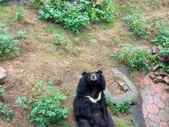 -无锡动物园·太湖欢乐园