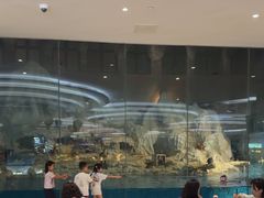 -帝企鹅自助餐厅•儿童岛•真企鹅(长隆企鹅酒店)