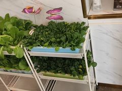 -烹然四季椰子鸡火锅(姚家园万象汇店)