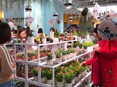 -KKV(深圳宏发大仟里店)