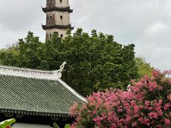-江心屿景区